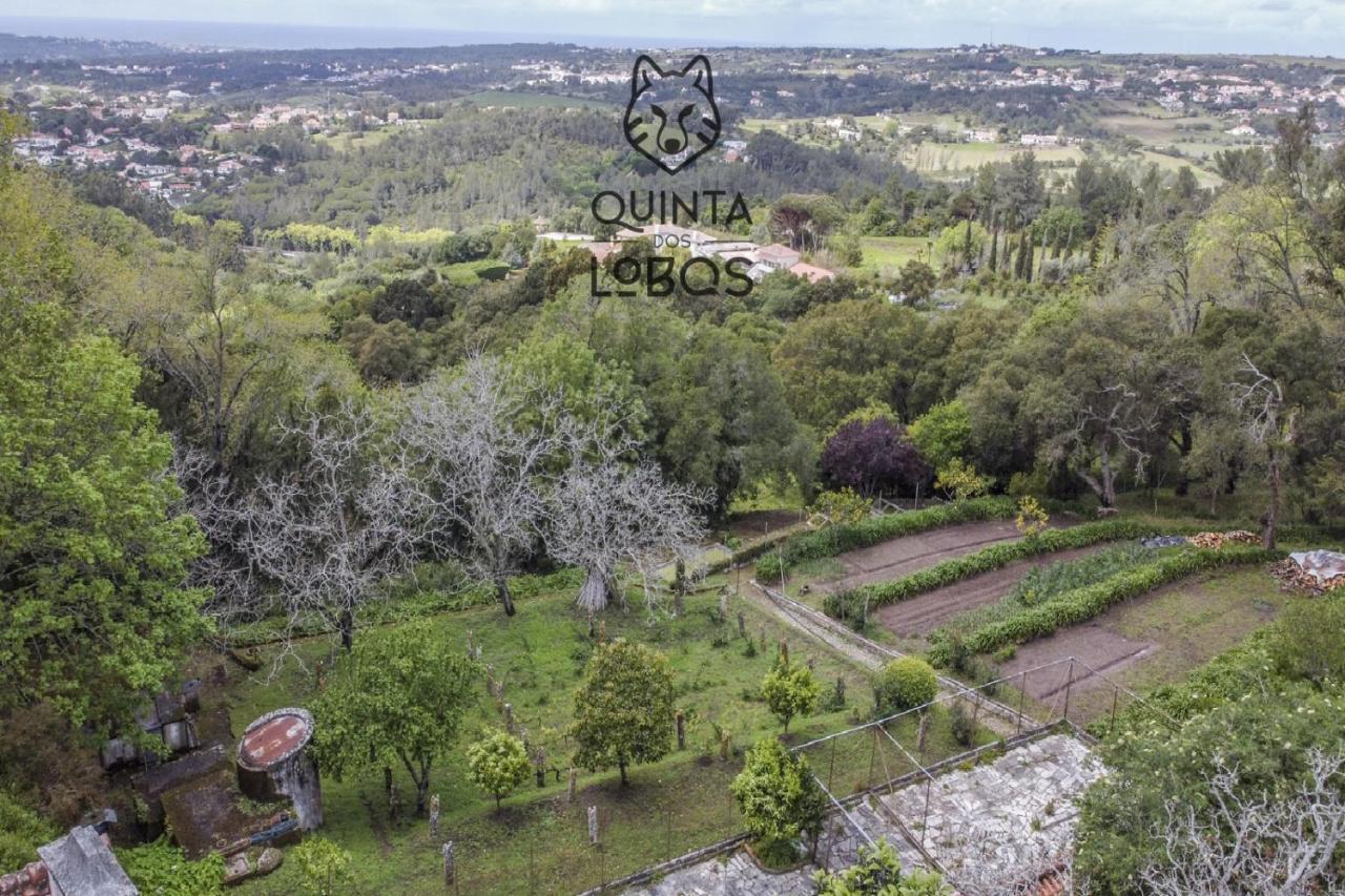 Quinta Dos Lobos Boutique Hotel - Nature Experience Sintra Eksteriør bilde