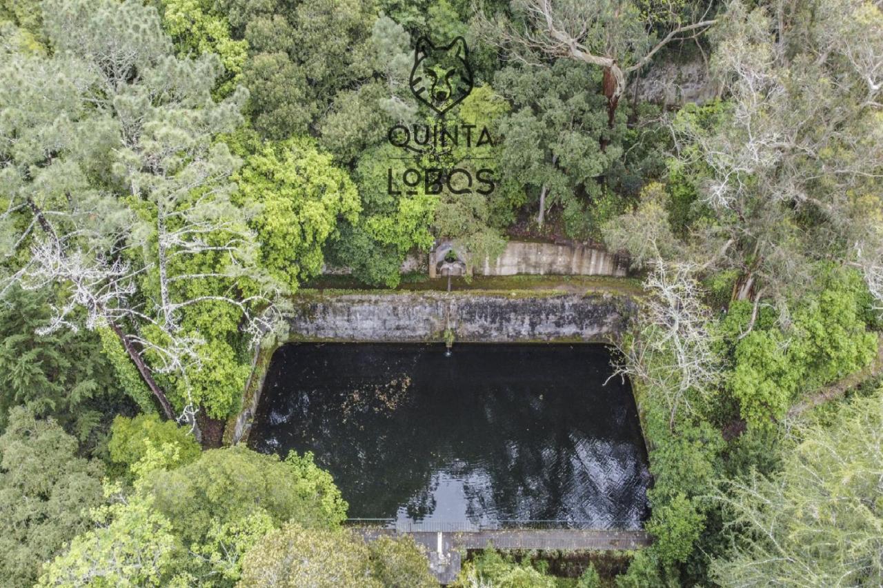 Quinta Dos Lobos Boutique Hotel - Nature Experience Sintra Eksteriør bilde