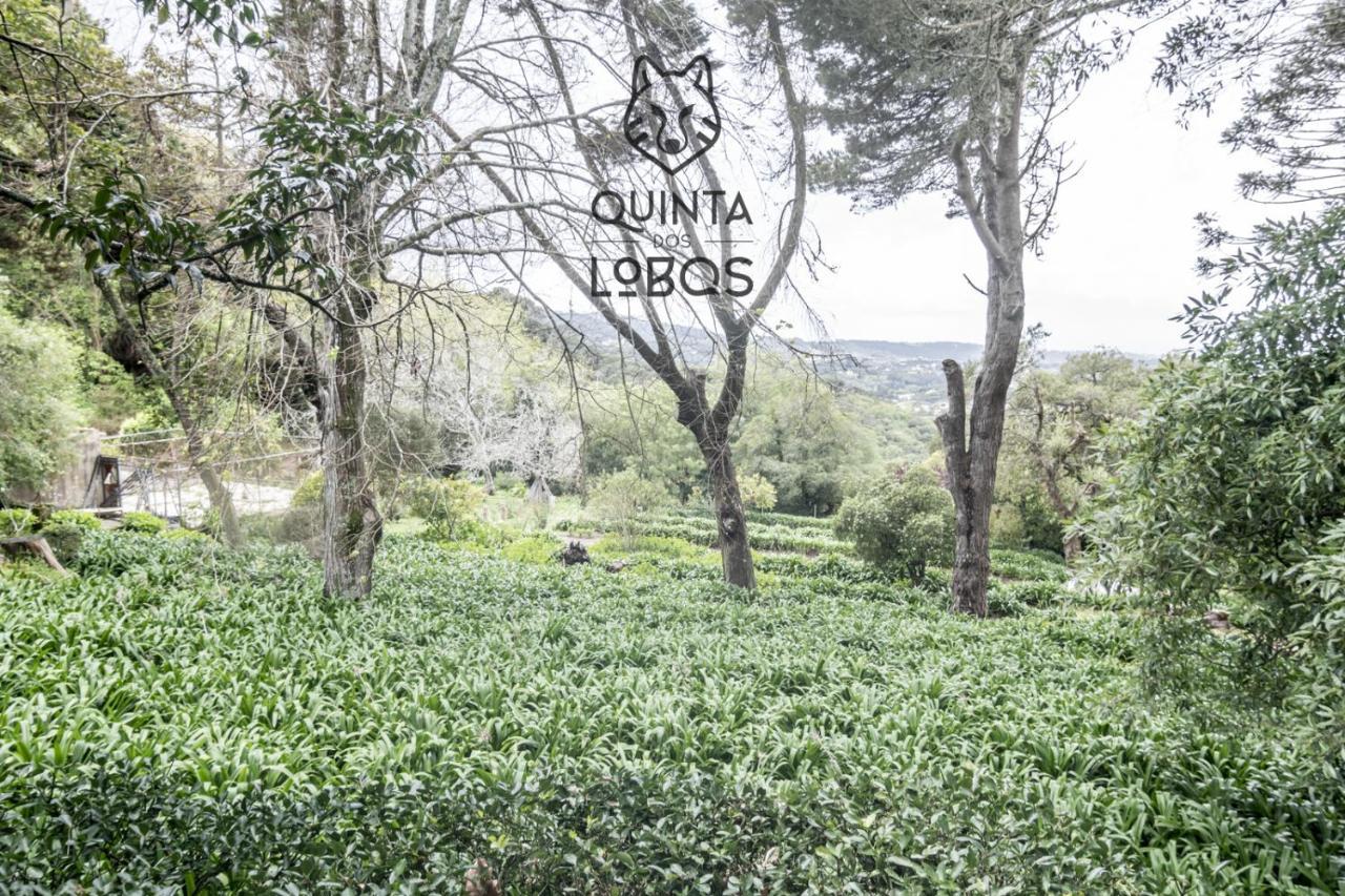 Quinta Dos Lobos Boutique Hotel - Nature Experience Sintra Eksteriør bilde